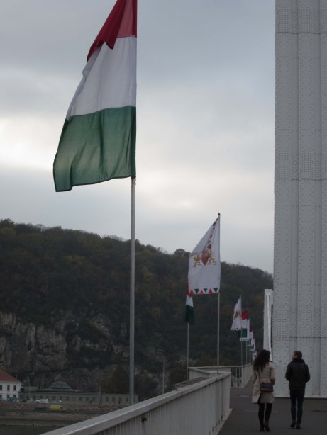 The Hungarian Flag